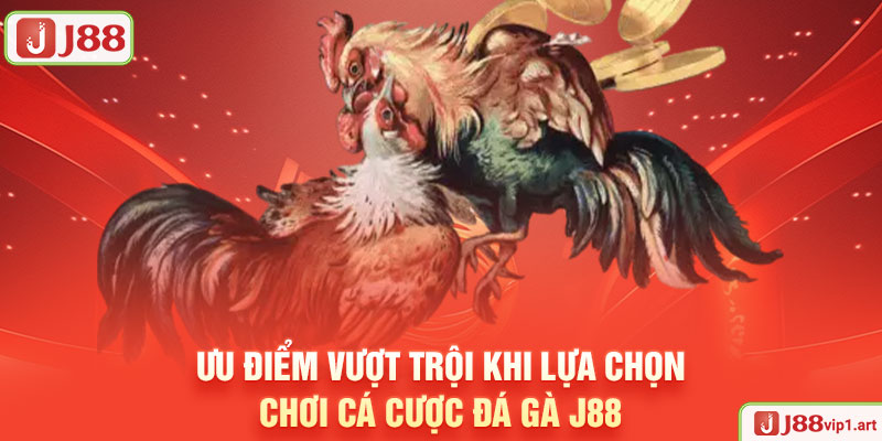 Đá Gà J88 Ưu Điểm Vượt Trội Khi Lựa Chọn Chơi Cá Cược Đá Gà J88